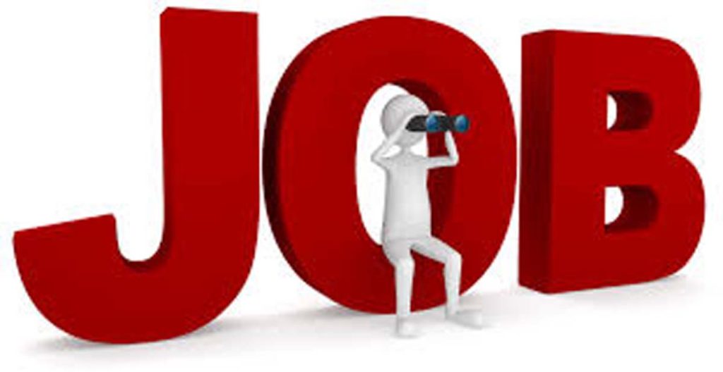 Vacancy 2024