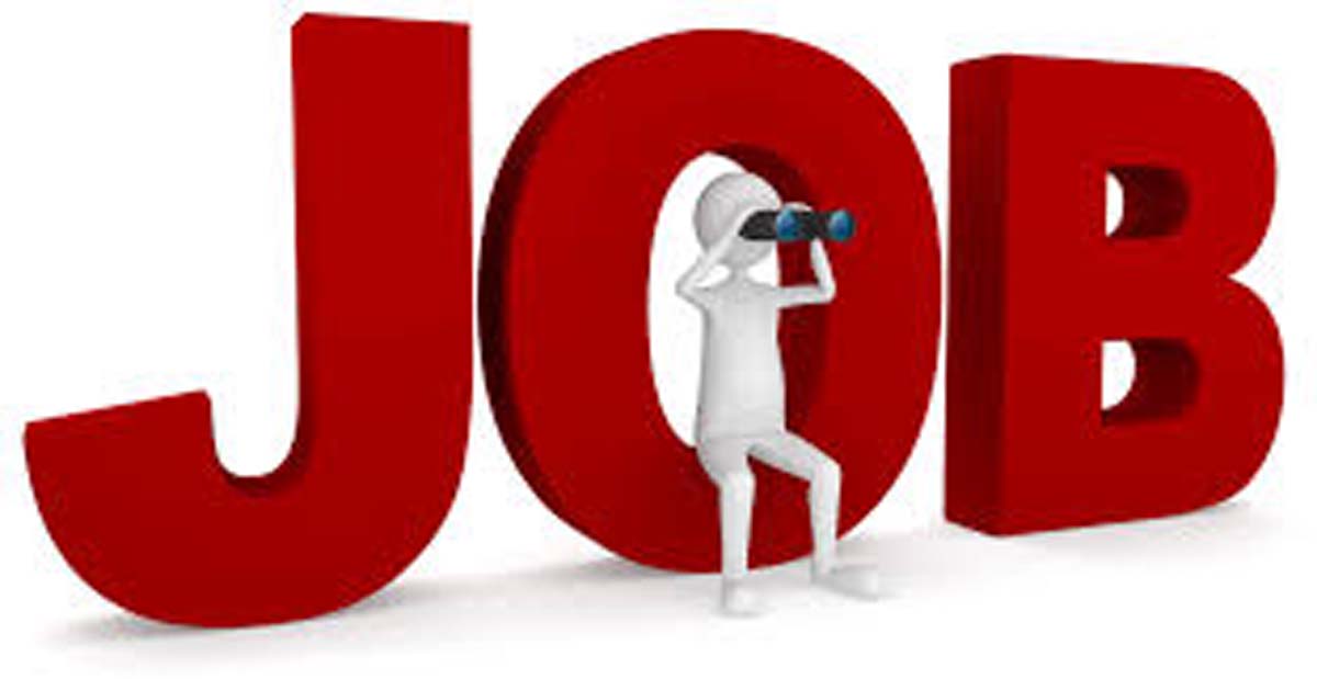 Vacancy 2024