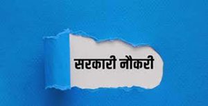 Govt Job