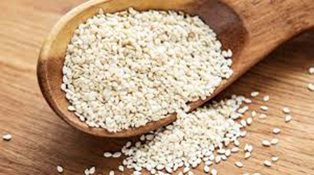 Health Tips: सर्दियों में फायदे की जगह नुकसान पहुंचा सकता है सफेद तिल, सेवन से बढ़ सकता है यूरिक एसिड