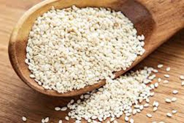 Health Tips: सर्दियों में फायदे की जगह नुकसान पहुंचा सकता है सफेद तिल, सेवन से बढ़ सकता है यूरिक एसिड